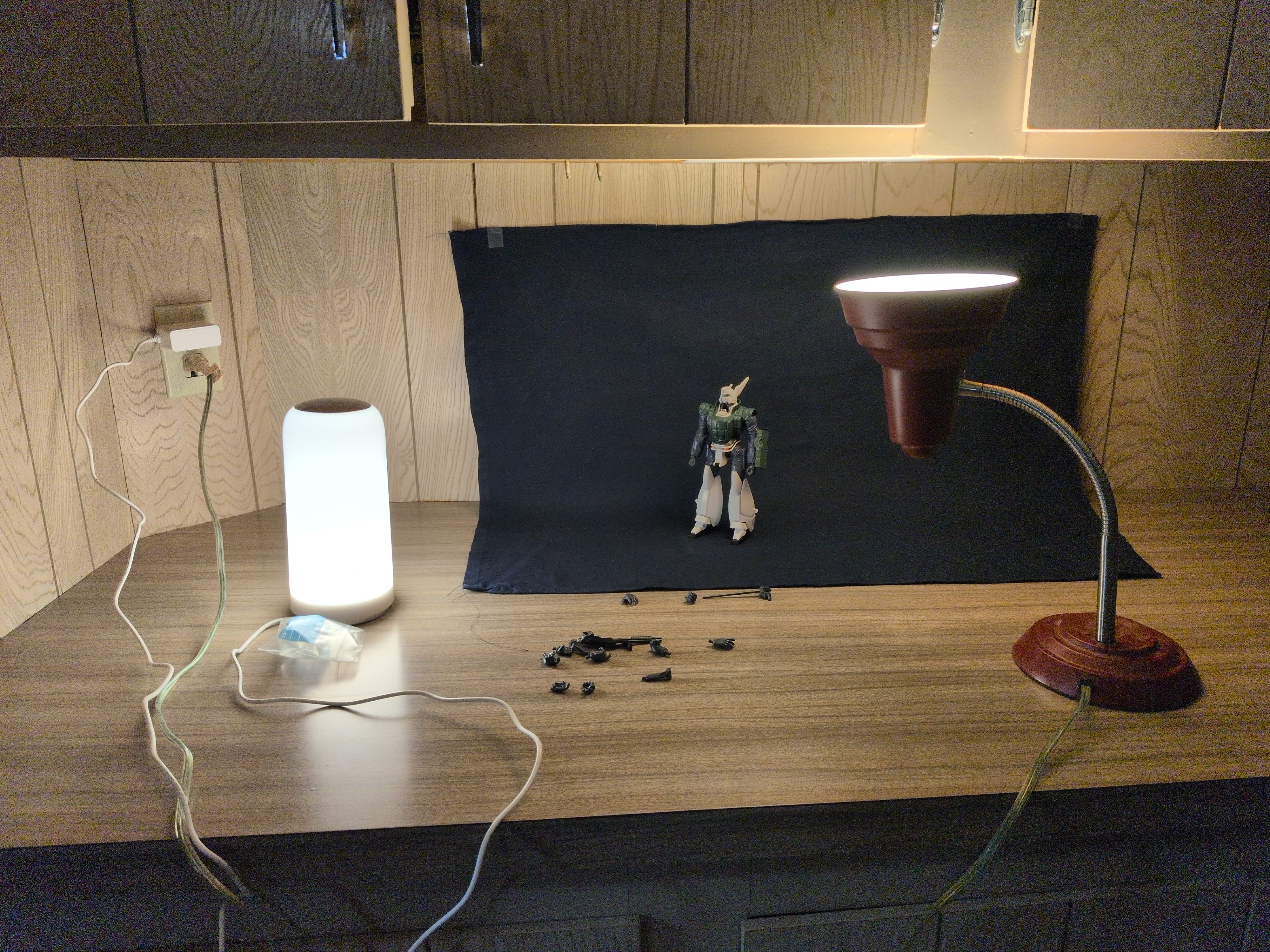 Photo of the model in front of a blue cloth lit with desk lamps