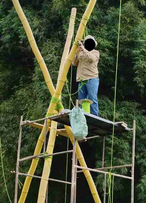 Akelas standing on top of the scaffolding and starting on the floor