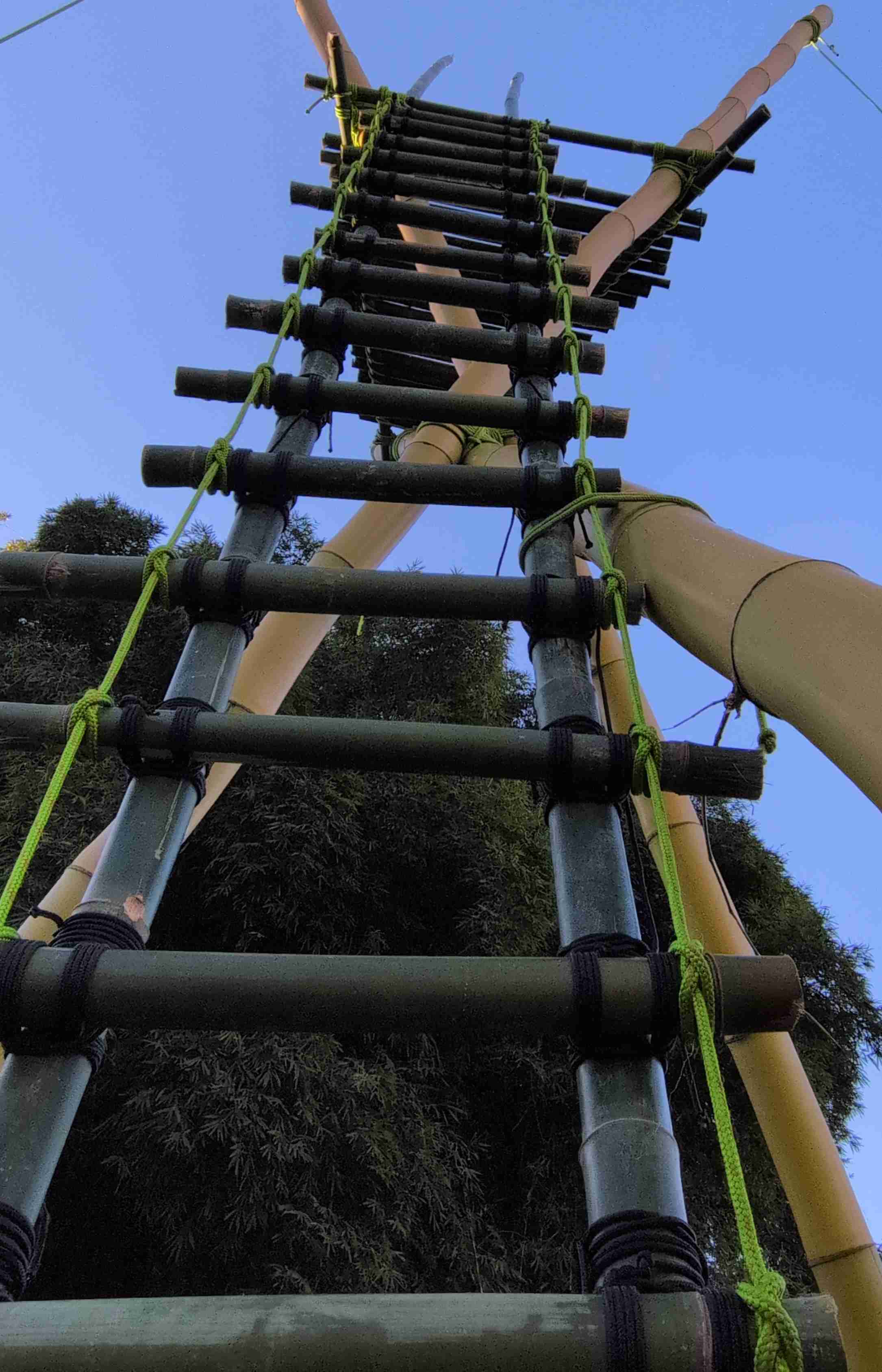 final ladder situation