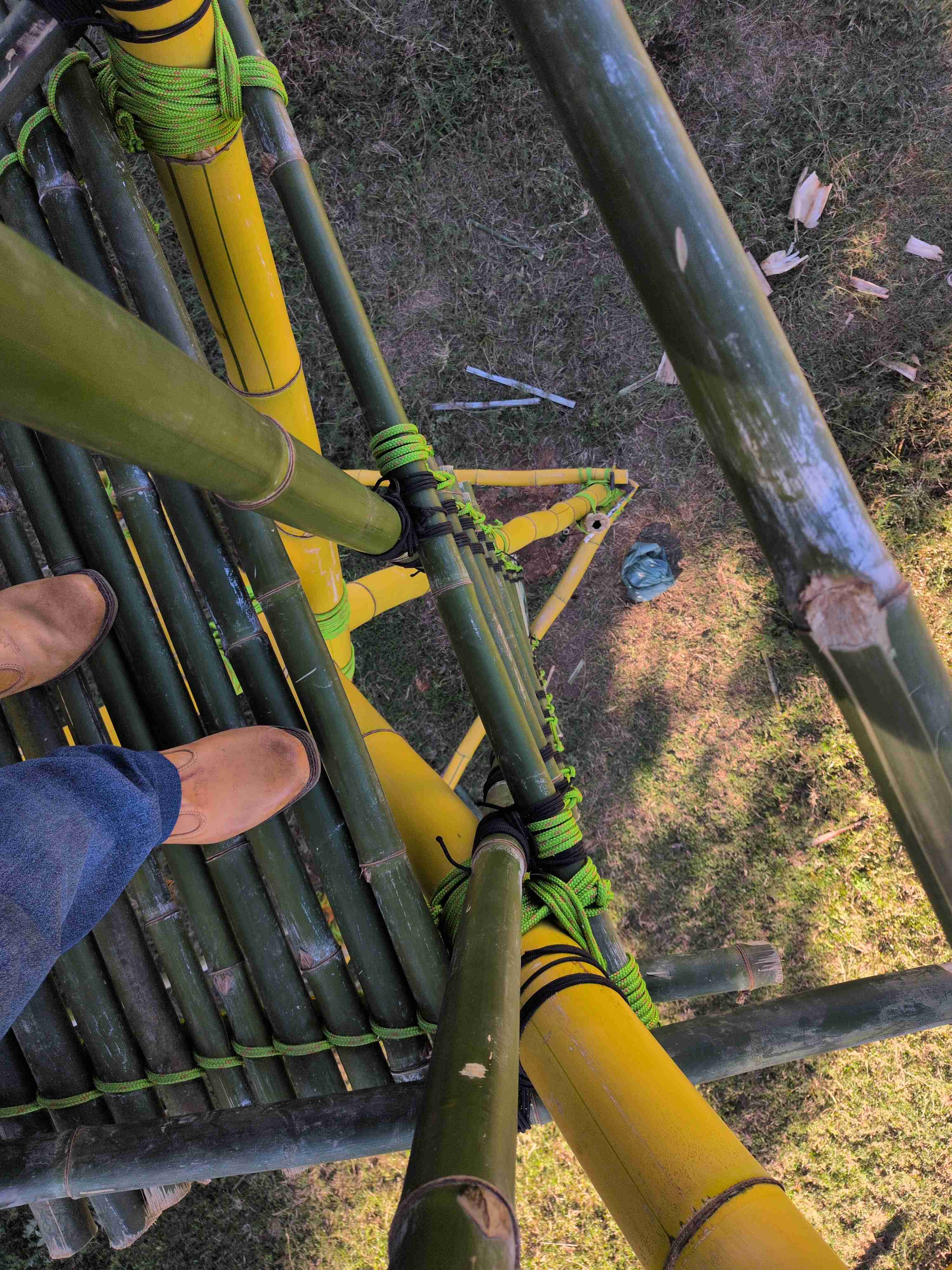 View down the vertical ladder
