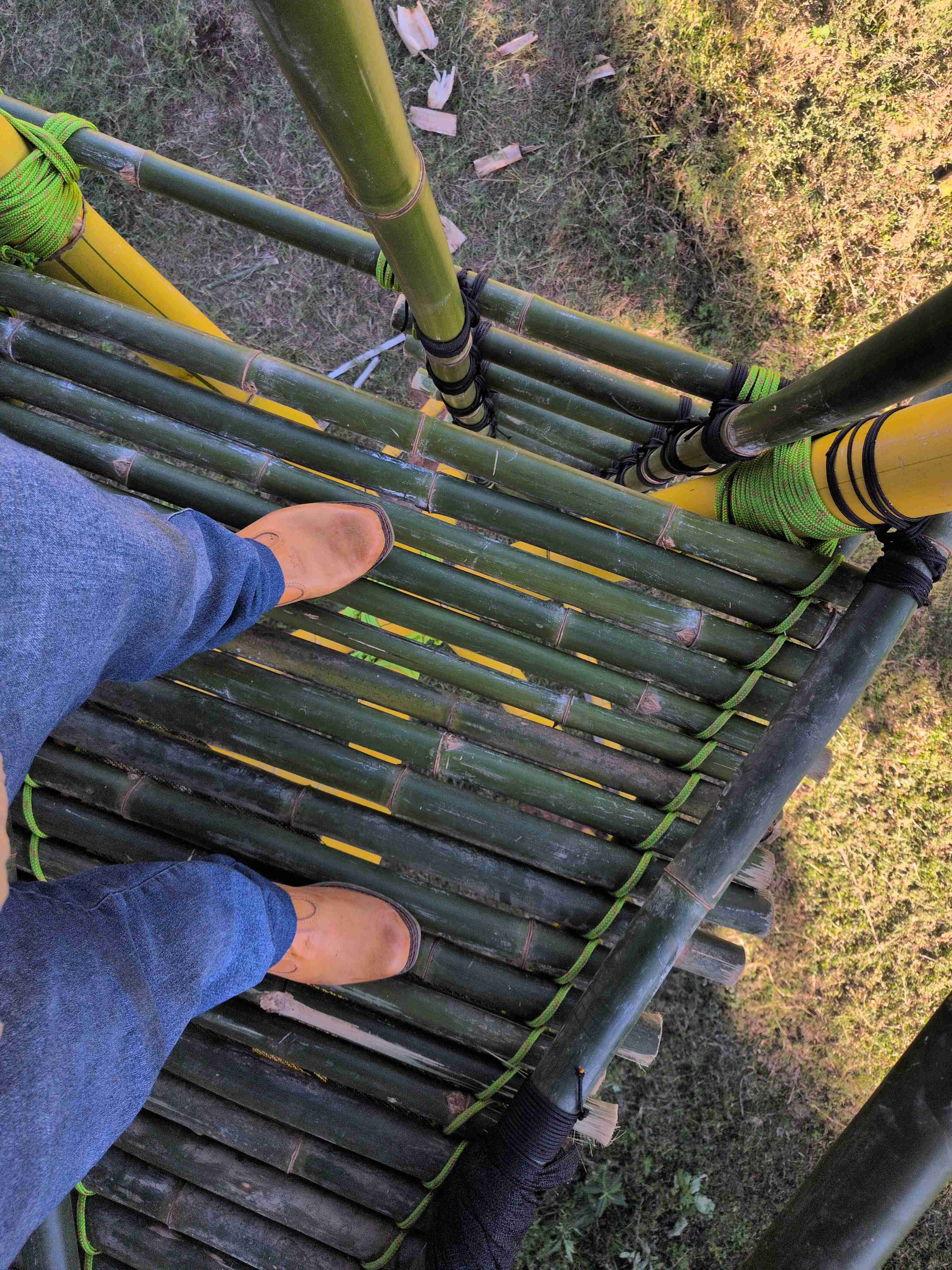 View through the floor boards